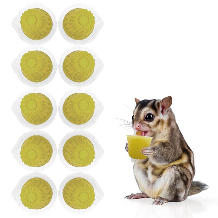 Beetle Jelly for Exotic Pets - Banana for wholesale by Snout and Shell