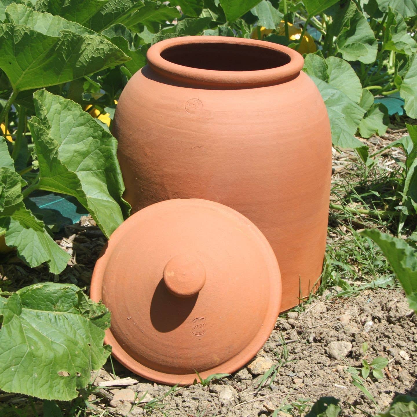 Poterie lutton - Wholesale Plantenpot - Rabarberpot4