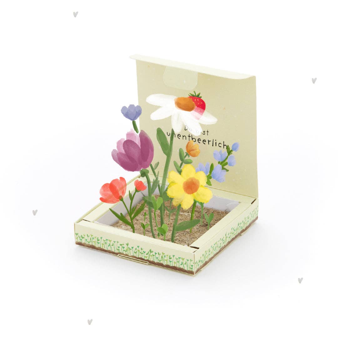 TDJ Stadtgärtner GmbH - Wholesale Plant Seeds - Planter box - Indispensable