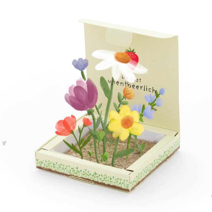 TDJ Stadtgärtner GmbH - Wholesale Plant Seeds - Planter box - Indispensable0