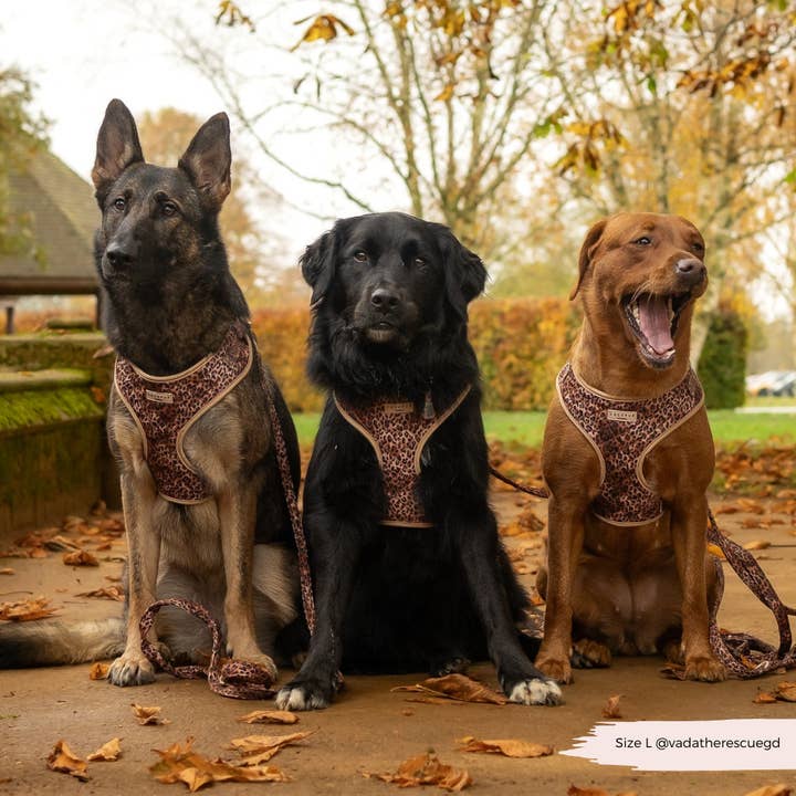 Cocopup London - Wholesale Pet Harness - Dog - Quilted Leopard Pup Adjustable Neck Harness40