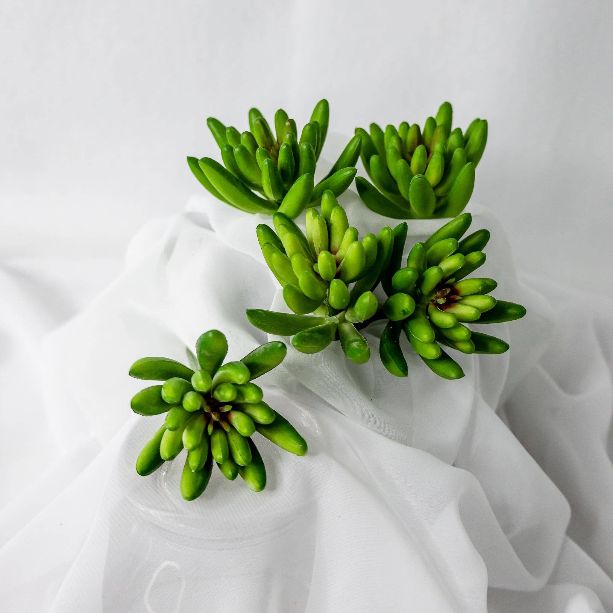 Realistic Artificial Flowers - Wholesale Artificial flowers - Claw Lotus Succulent - Realistic Artificial Flowers and Greenery0