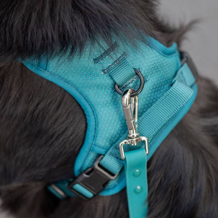 Peachy Dogs - Wholesale Pet Harness - Dog - Mojito Classic 2.0 Harness8