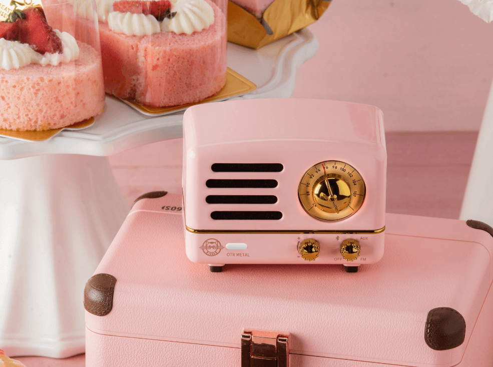 Muzen - Wholesale Speakers - MUZEN OTR Metal Wireless Portable FM Radio Bluetooth Speaker9