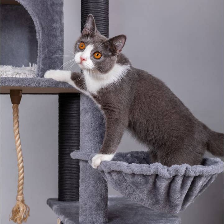 PetPals Group - Wholesale Pet Scratcher - Cat - Catry Bradbury 7 Level Gray Cat Tree