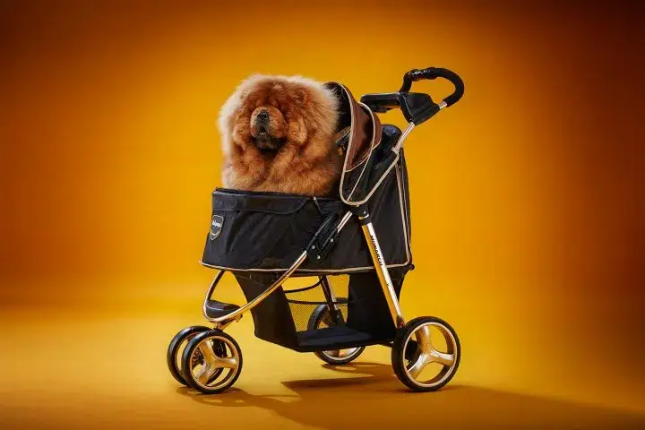 Ibiyaya - Wholesale Pet Carrier - Cat/Dog - Monarch Premium Pet Jogger, Designer-Luxury Dog Stroller 9