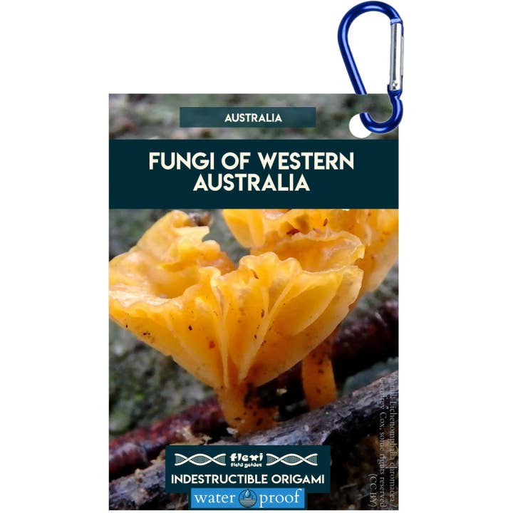 Funghi dell'Australia Occidentale-Indistruttibile Origami per la vendita all'ingrosso da parte di Flexi Field Guides