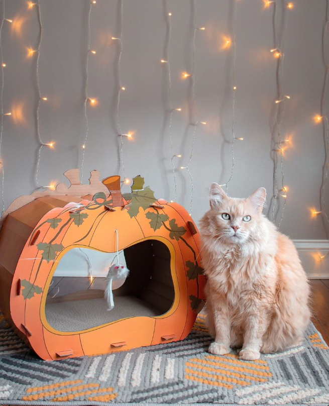 Midlee Designs – wholesale Kattkliare - Katt – Midlee Halloween pumpa katt skrapare hus1
