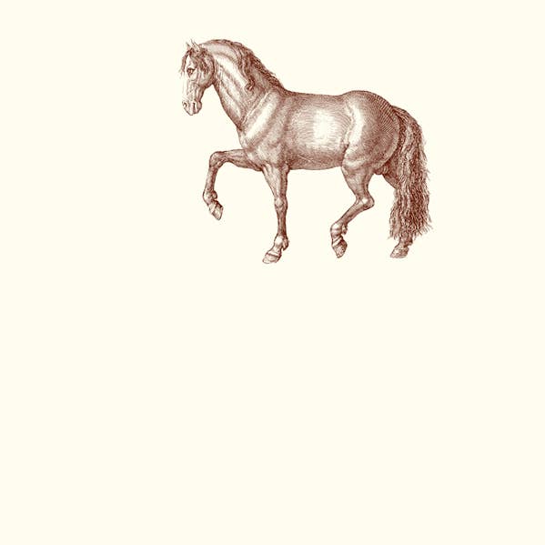 Prancing Horse Place Card for wholesale by Alexa Pulitzer
