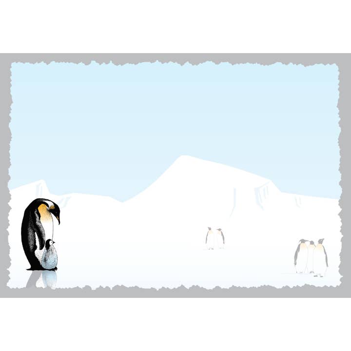 Advice for Life by Your True Nature - Wholesale Everyday Greeting Card - Advice from a Penguin Greeting Card - Blank