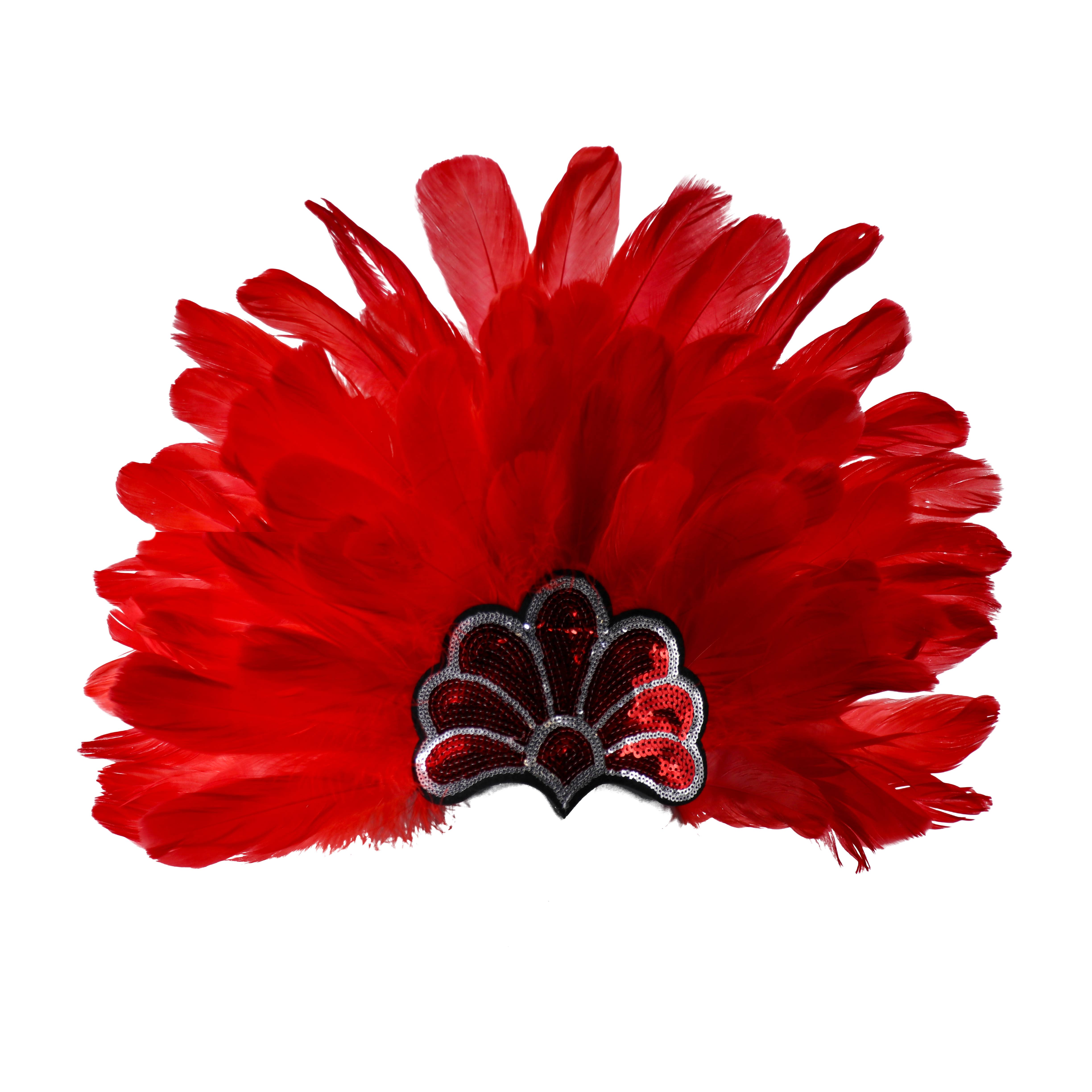 Western Fashion - Wholesale Costume - Women's - samba feather headdress9