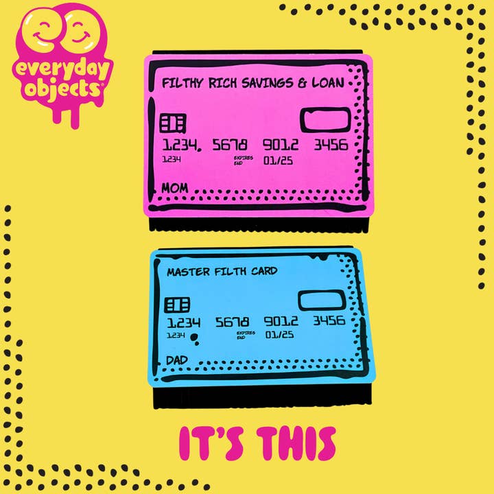 Everyday Objects - Wholesale Sink Strainer/Stopper - Swipe N Wipe Credit Card Kitchen Squeegee (Dad - Blue)13