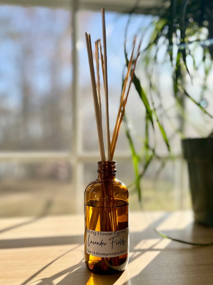 Lavender Fields for wholesale by Biting Flower Farms