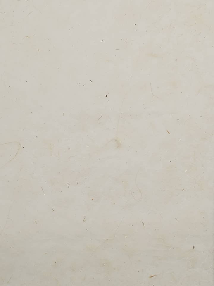 Lokta Natuurlijk 30 Gsm voor wholesale door Aitoh Company