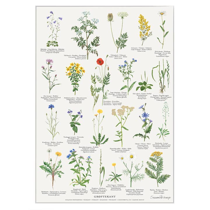 Koustrupco – Engroshandel Plakat – Plakat A4 Hedgerow - fremstillet i Europa