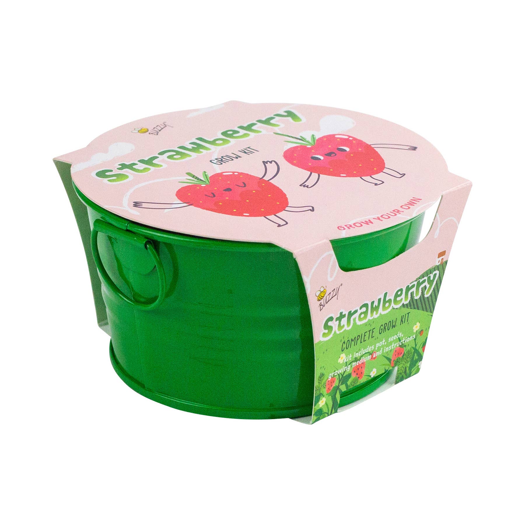 Buzzy Seeds Grow Gifts - Wholesale Plant Seeds - Kids Mini Basin Strawberry Grow Kit – Indoor Garden Gift3