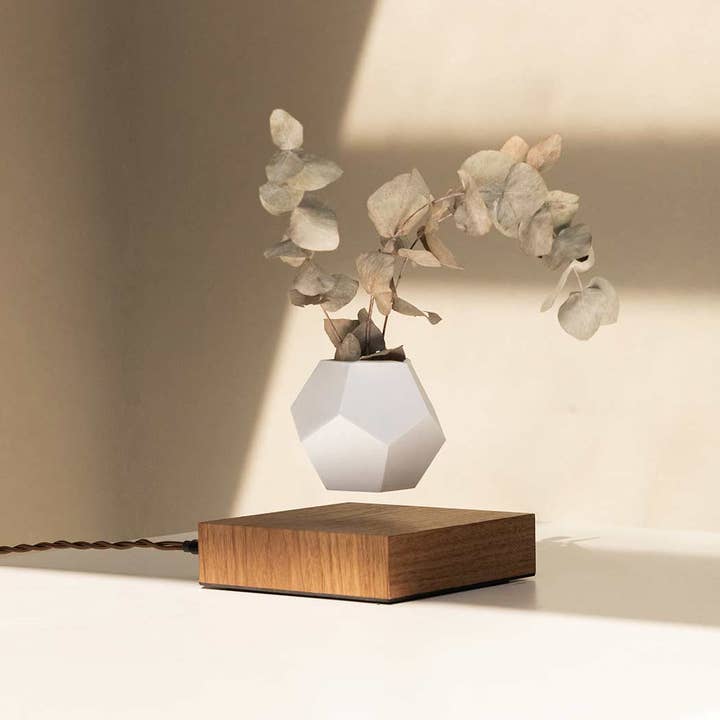 Wooden Amsterdam – wholesale Planteringslåda – LYFE Planter — Leviterande växt - Valnötsträ