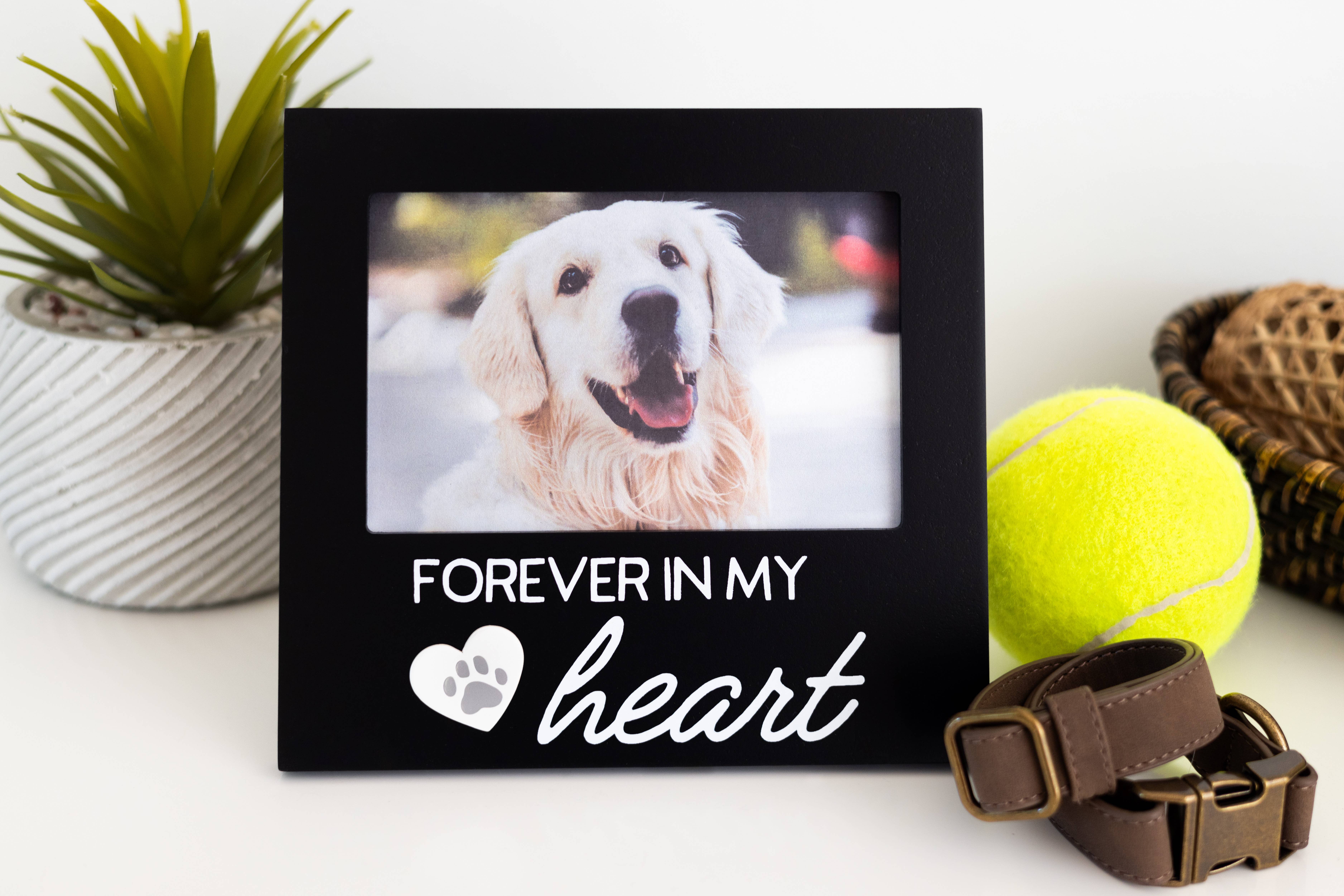 Pearhead - Wholesale Picture Frame - Pet Memorial Frame, Forever in my Heart3