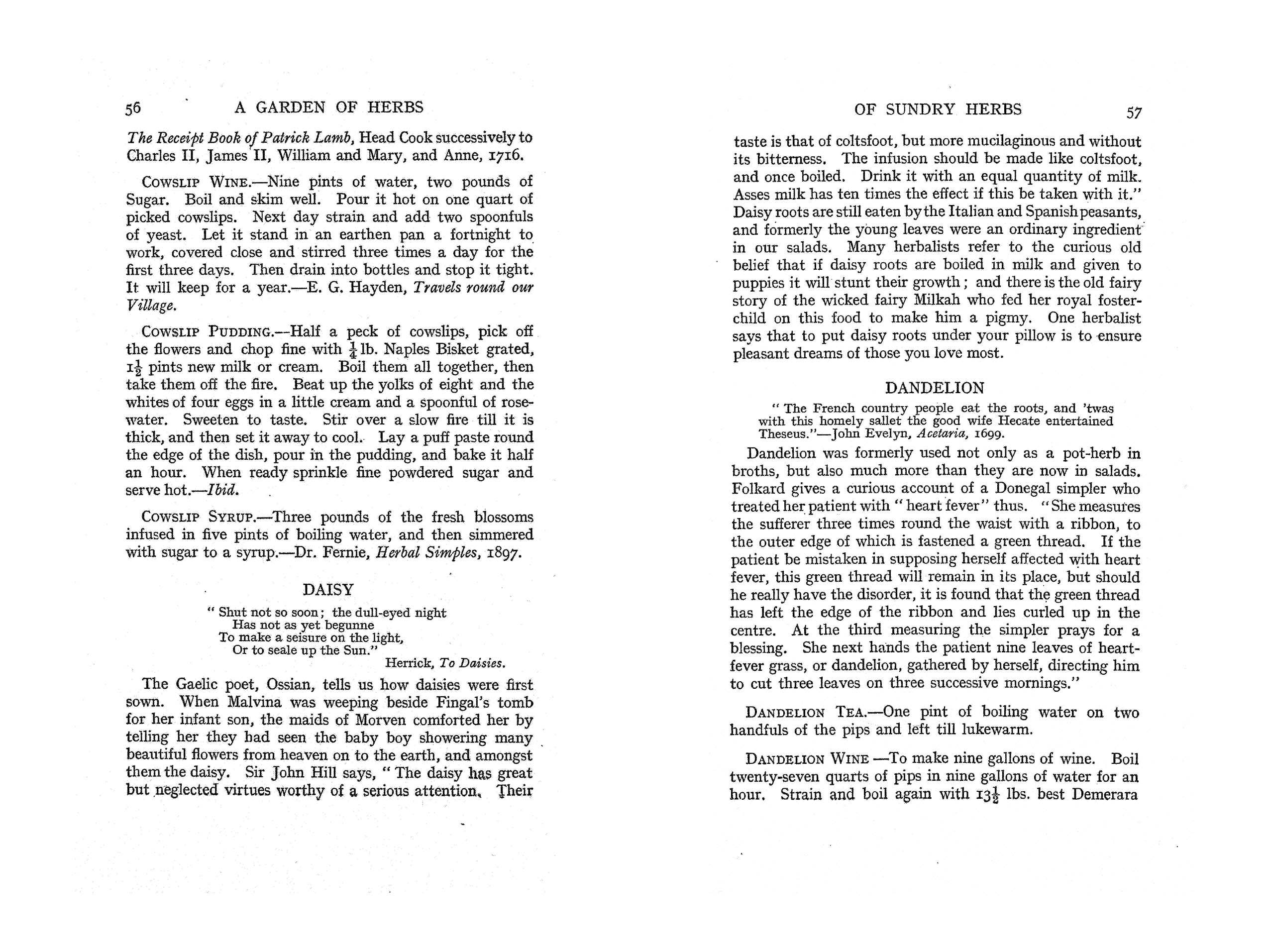 Applewood Books - Wholesale Nature & Outdoors - A Garden of Herbs2