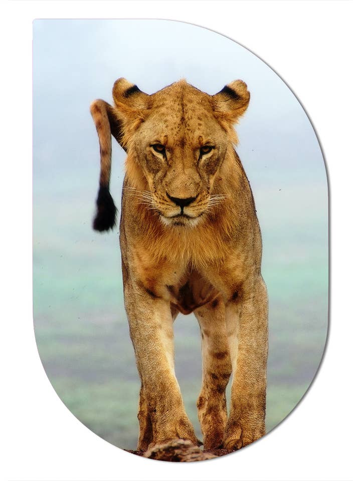 ScandiArt small lion for wholesale by Label2X B.V.