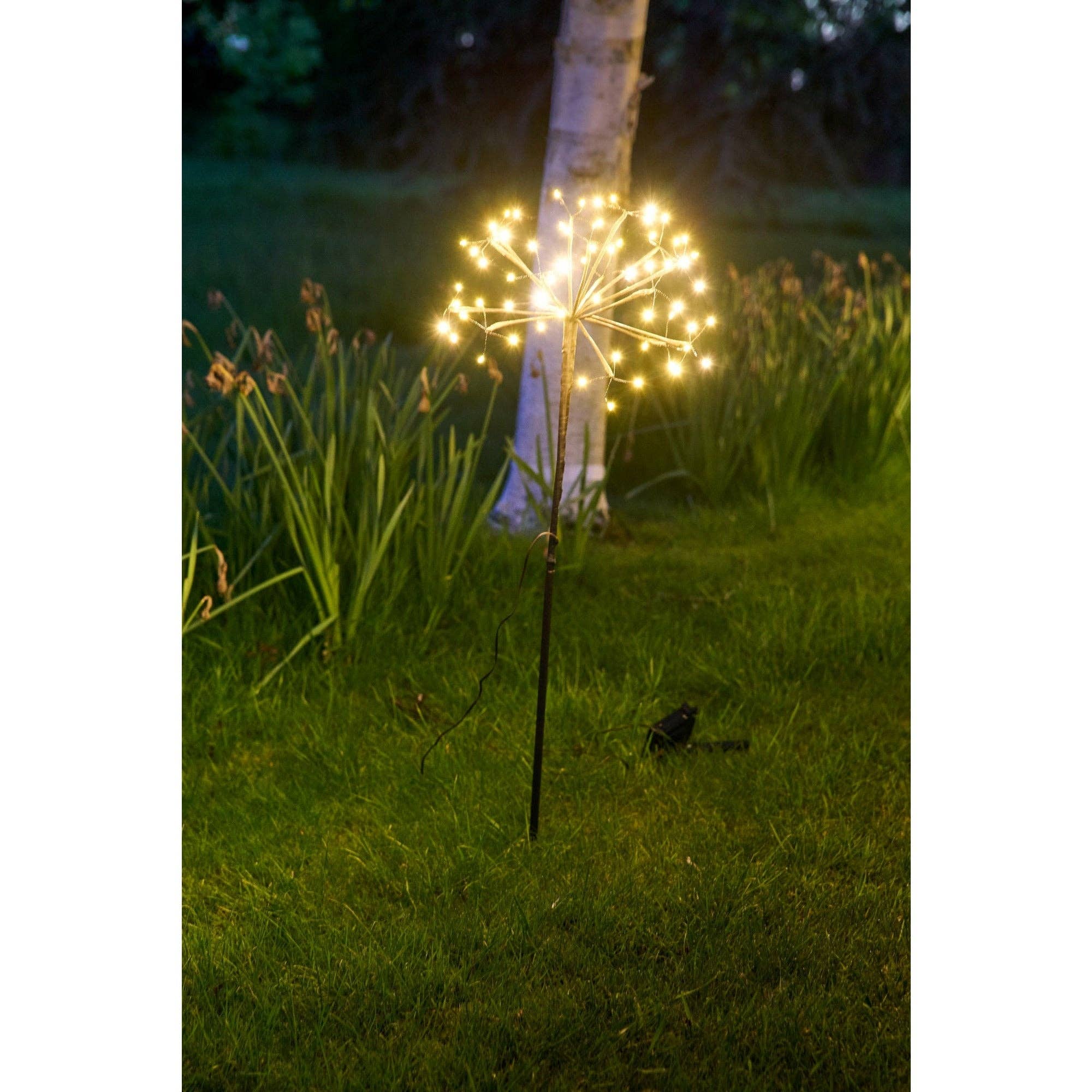 Lumina Of London AU - Wholesale Outdoor/lawn light - Solar Dandelion Light - Weatherproof Garden Feature6