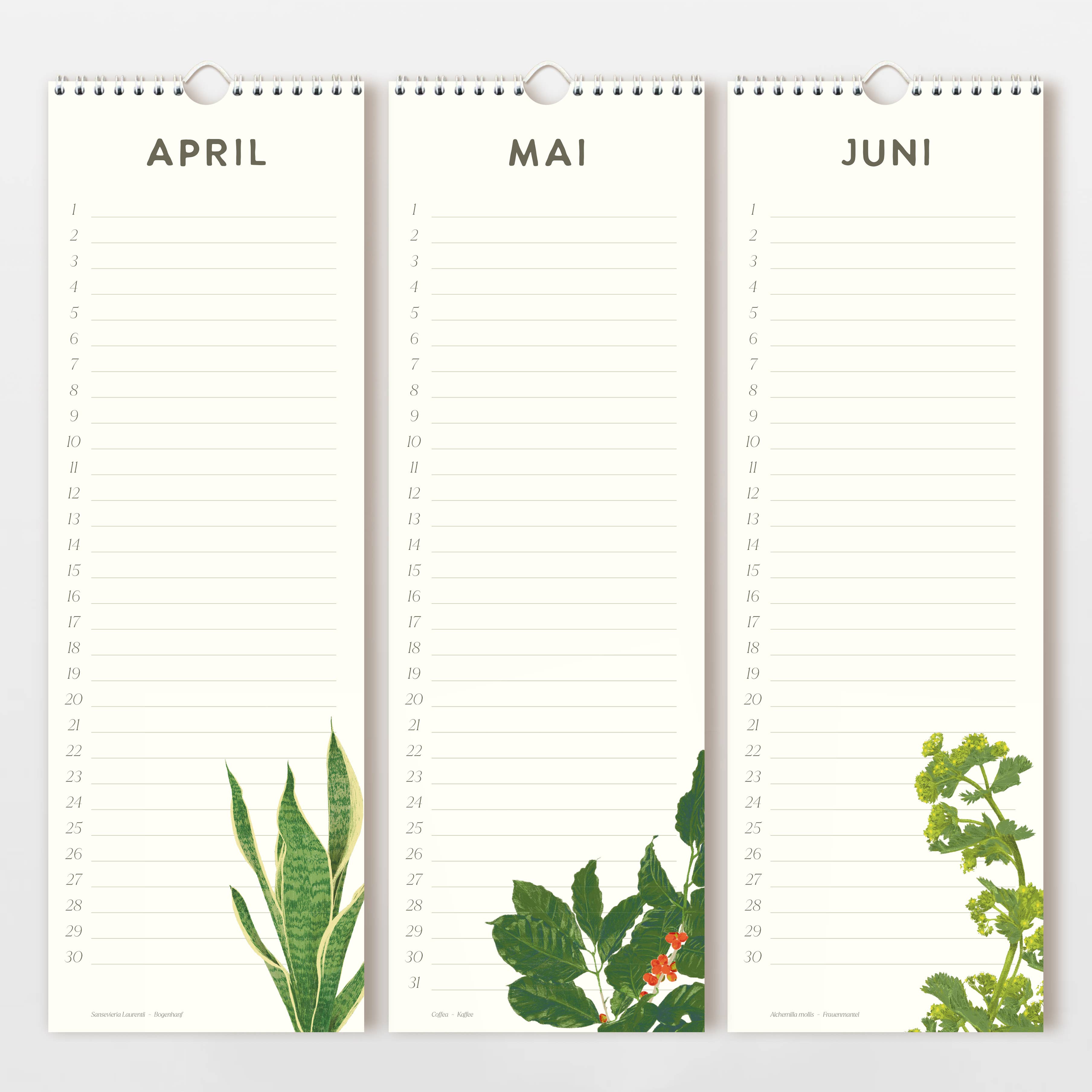 Wildblumen Atelier - Wholesale Calendar - Birthday calendar 15x44 cm hand-drawn flowers, FSC4