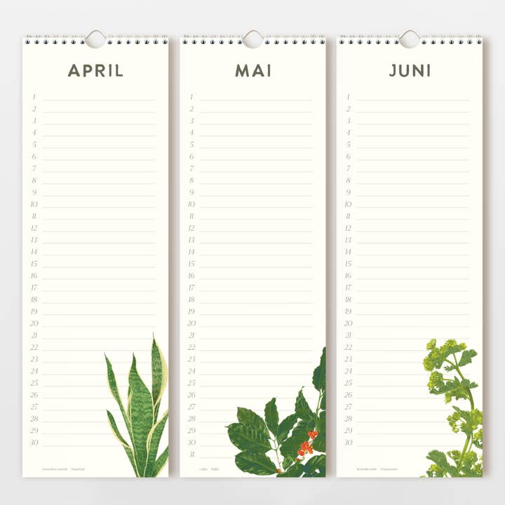 Wildblumen Atelier - Wholesale Calendar - Birthday calendar 15x44 cm hand-drawn flowers, FSC4