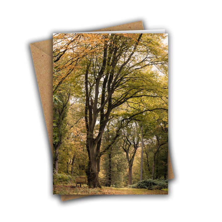 Autumn Tree Greeting Card for wholesale by Marina Walker