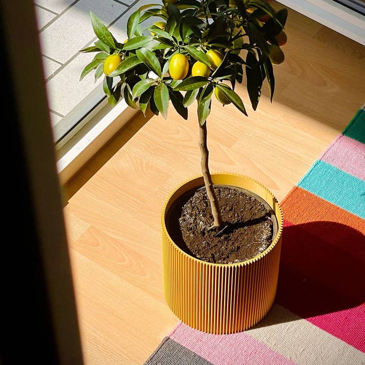 dennismaass. - Wholesale Plant Pot - GERADE - TOPF12