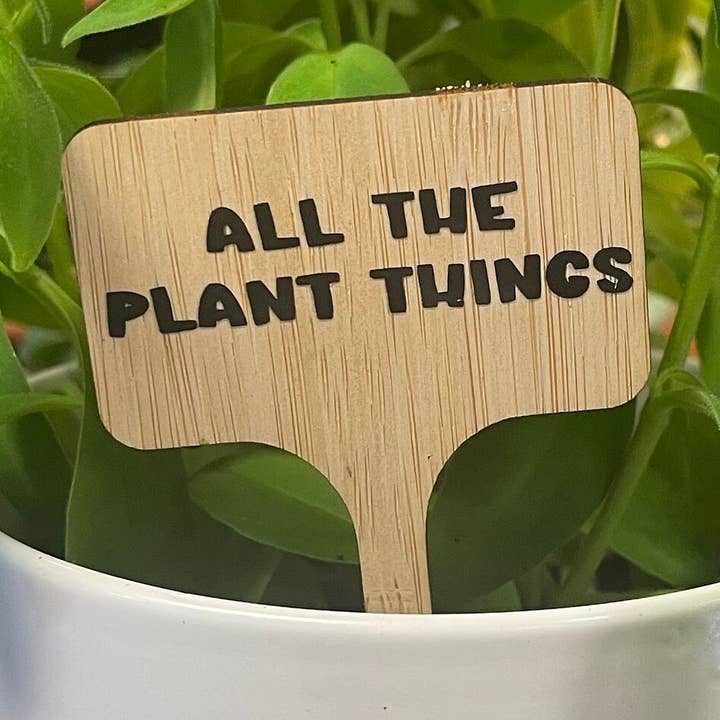 Alle plantens ting for engroshandel hos Crafts At Stake