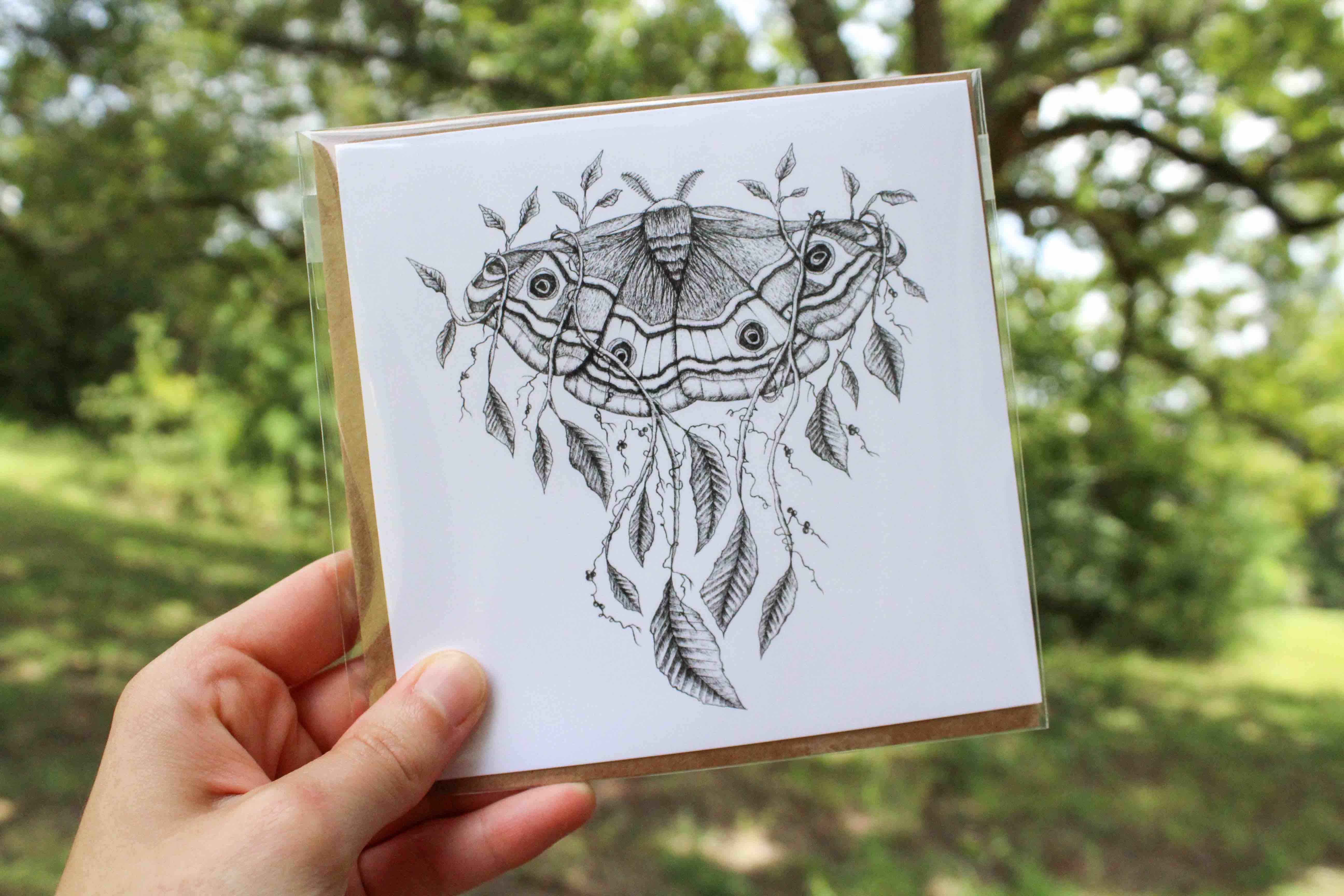 Mackenzie Myrick Studio - Vente Carte de vœux classique - Emperor Moth | Carte de voeux2