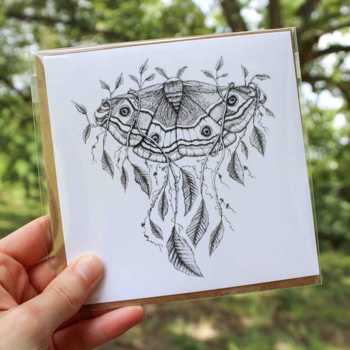 Mackenzie Myrick Studio - Vente Carte de vœux classique - Emperor Moth | Carte de voeux2