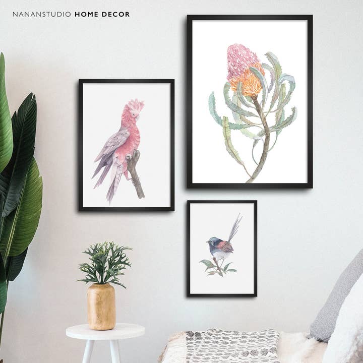 Art Prints Bundles | Galah, Fairy Wren, Banksia for wholesale by NananStudio