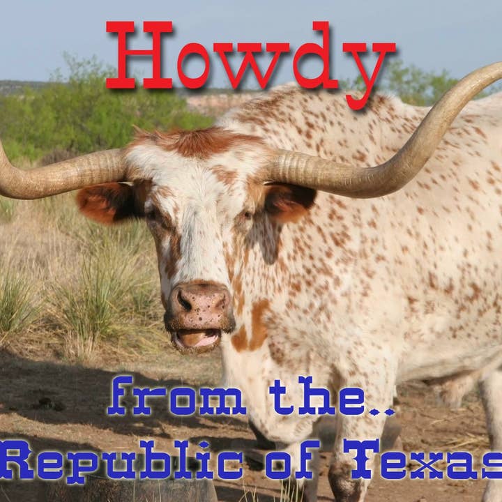 Texas, Texas Collectible, Texas Magnet, Texas Longhorn, Texas Souvenir, koelkastmagneet voor wholesale door DK LaserWorx