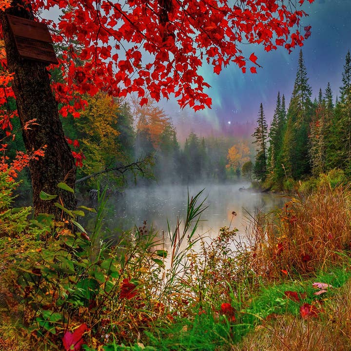 Early Dawn on the Lake 1000 Piece Jigsaw Puzzle for wholesale by Springbok Puzzle