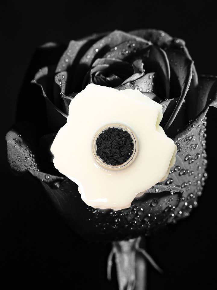 Obsidian Coral | Sort Vand Aktiveret Makeup for engroshandel hos Sweet SXM Beauty