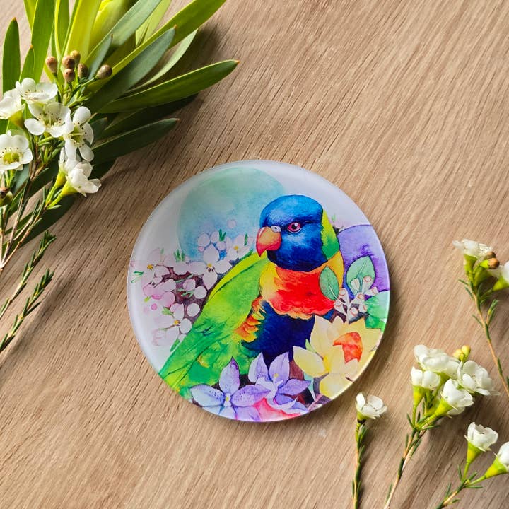 Watercolour By Cat - Wholesale Coasters - Australian Bird Art Coaster 6