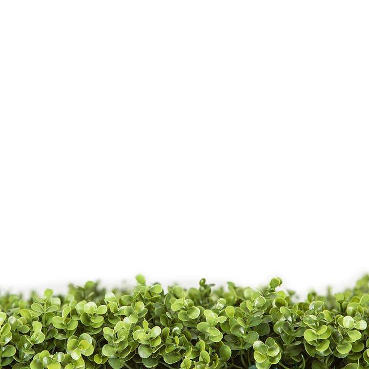 Designer Plants - Wholesale Artificial Plant - Natural Artificial Boxwood Wall 40" x 40" UV Resistant