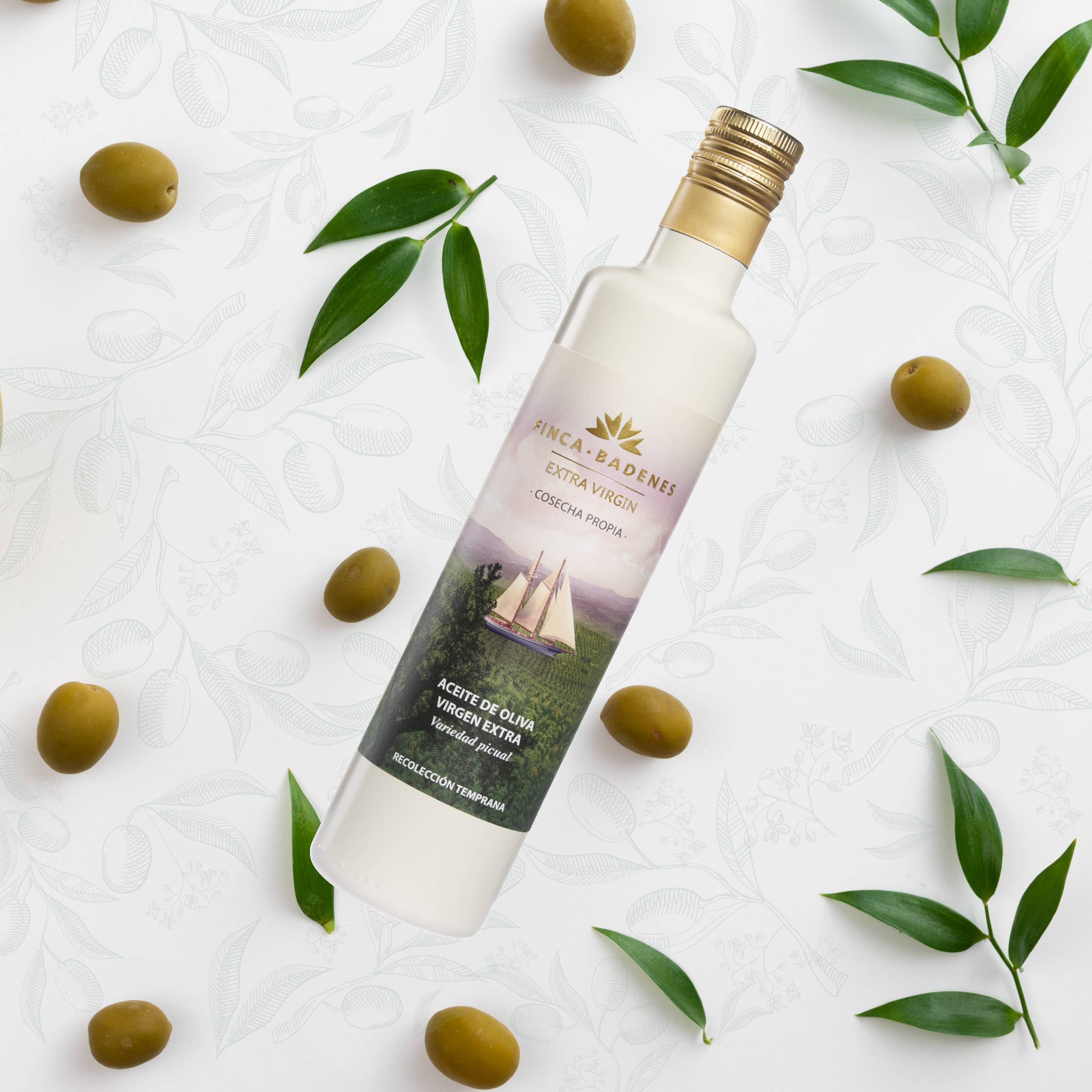 AIRES DE JAEN - Venta al por mayor Aceite de oliva - PACK 12 x 500ml AOVE Finca Badenes PICUAL cosecha temprana1