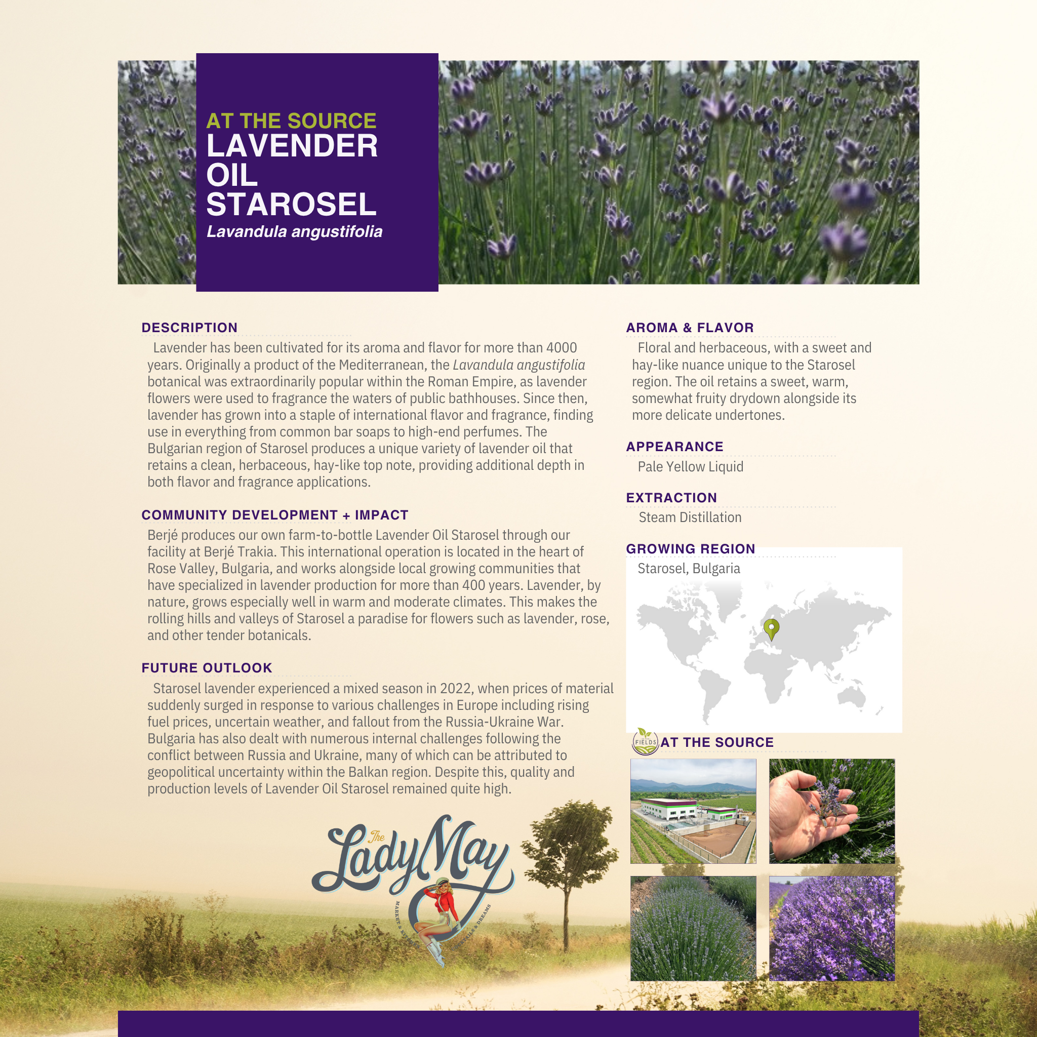 May's Market @ TLM - Vendita all'ingrosso Crema/lozione corpo - Crema Idratante di Sevo Montato alla Lavanda | Lozione Naturale di Sevo di Manzo | Cura della Pelle Calmante e Senza Conservanti di Lady May Tallow8