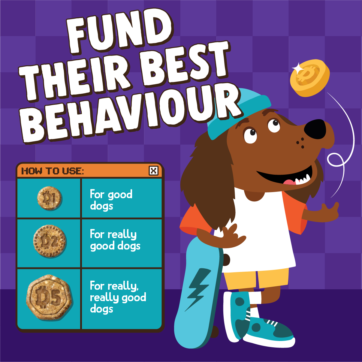 Denzel's - Healthy Dog Treats – wholesale Pet treats – Dog – Denzel’s Coins - Chicken & Pumpkin Dog Treats (90g)4