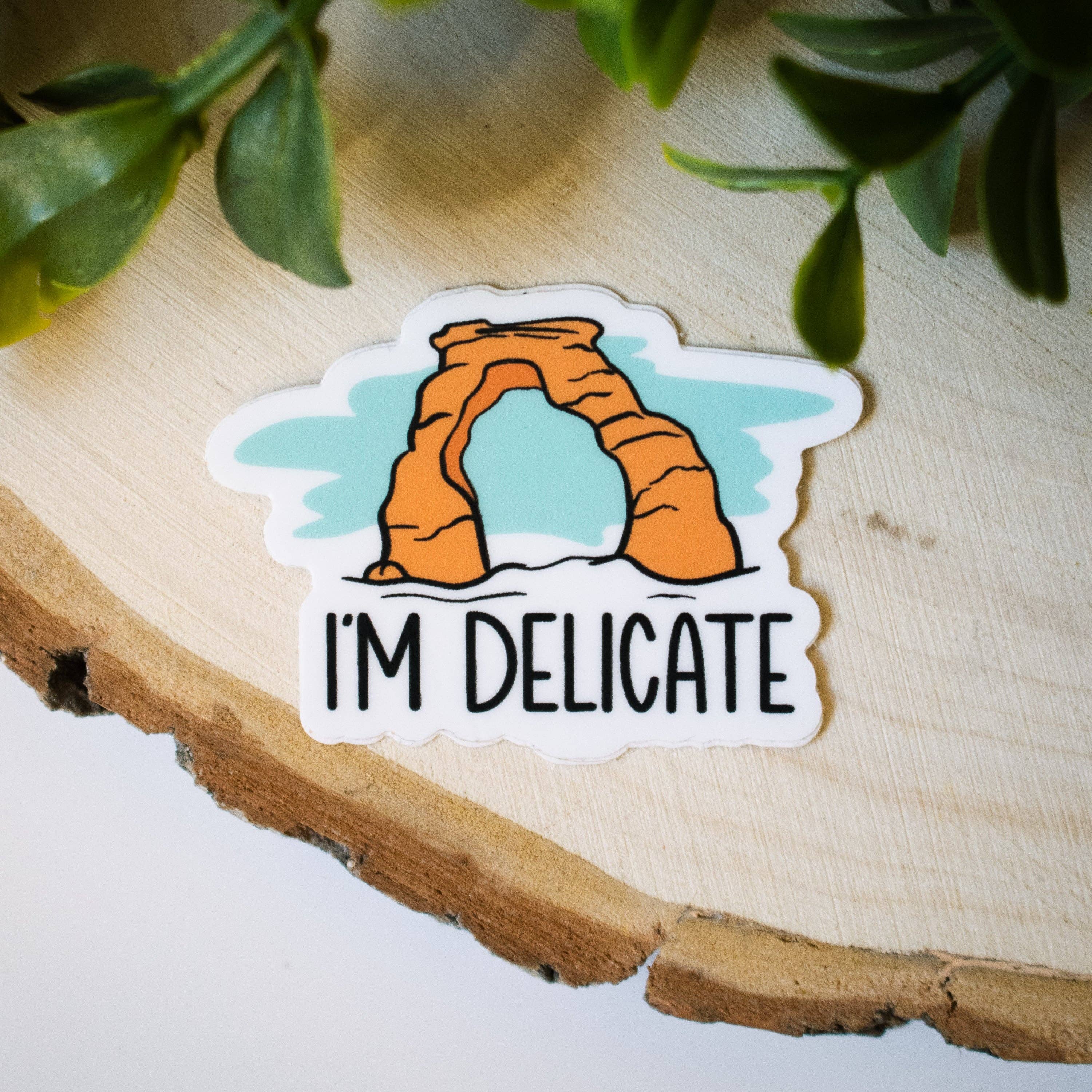 Riley Funk Designs - Wholesale Sticker - I'm Delicate Sticker | Arches National Park Sticker2