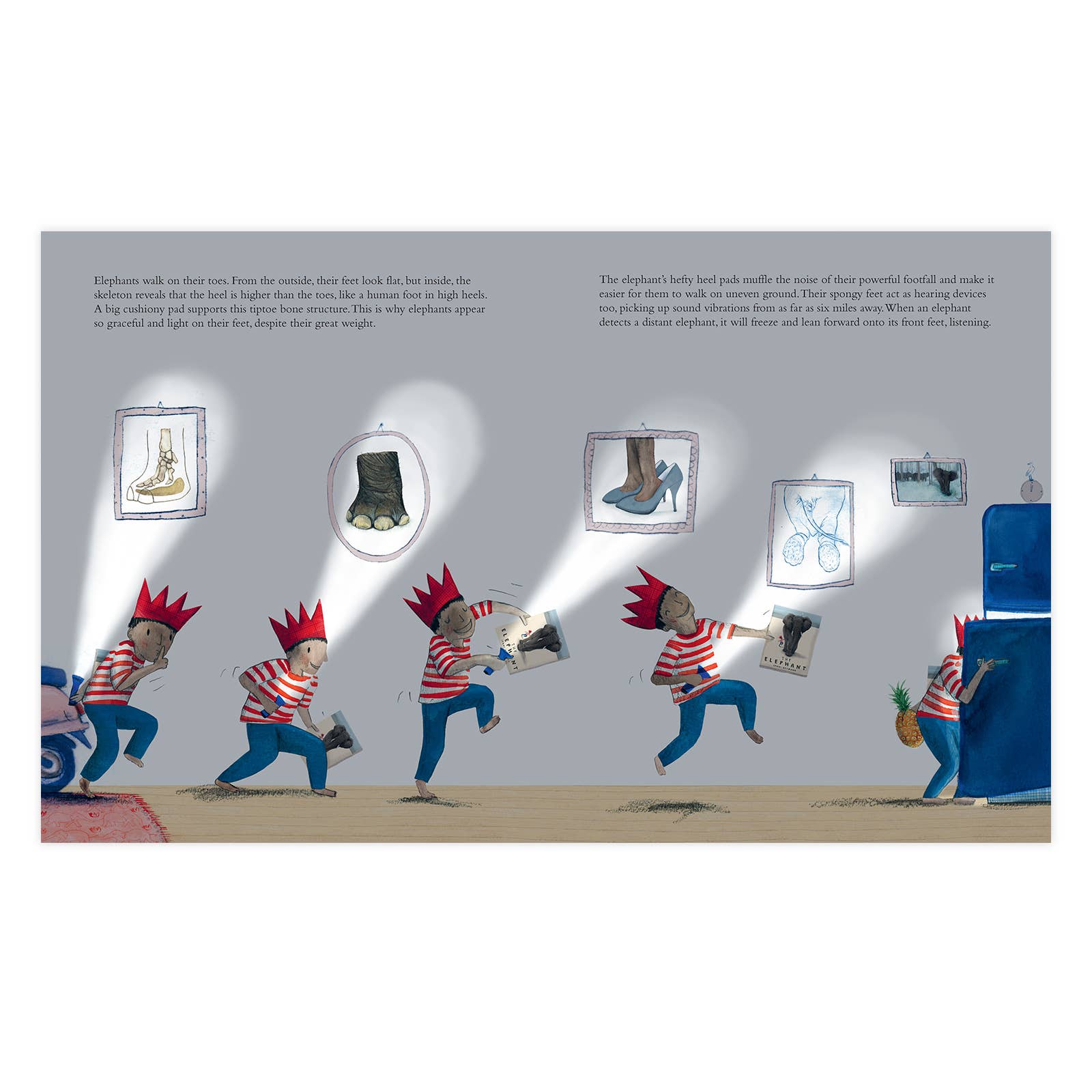 Enchanted Lion Books - Wholesale Nature & Outdoors - The Elephant2