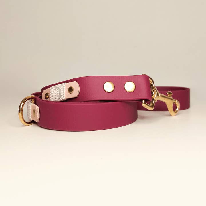 Laisse pour chien - Biothane Signature - Framboise pour la vente par Truffe & Flair