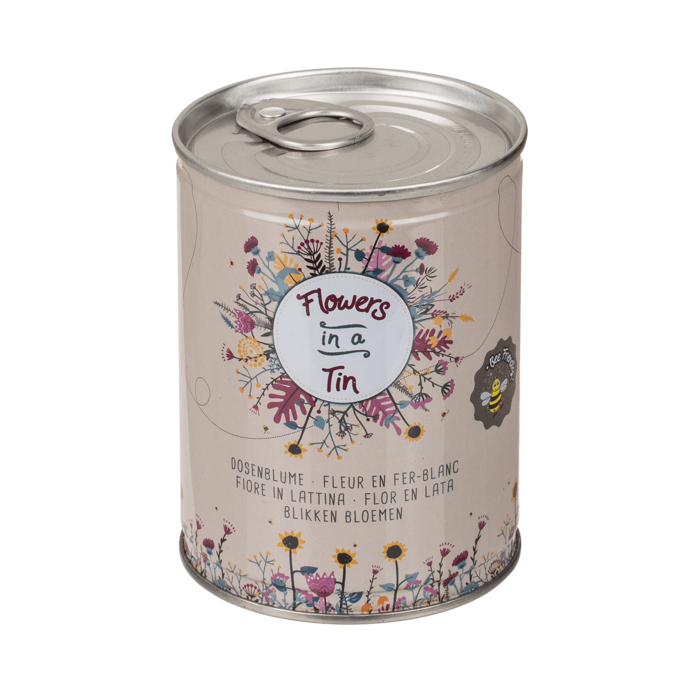 Out of the blue KG – wholesale Plant seeds – Tin Flower , Flower Meadow,3