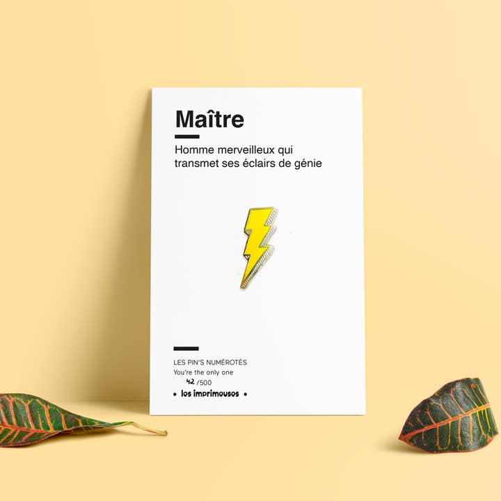 LES IMPRIMEUSES - Wholesale Brooch - Pins - Master/Mistress - Lightning - End of the school year