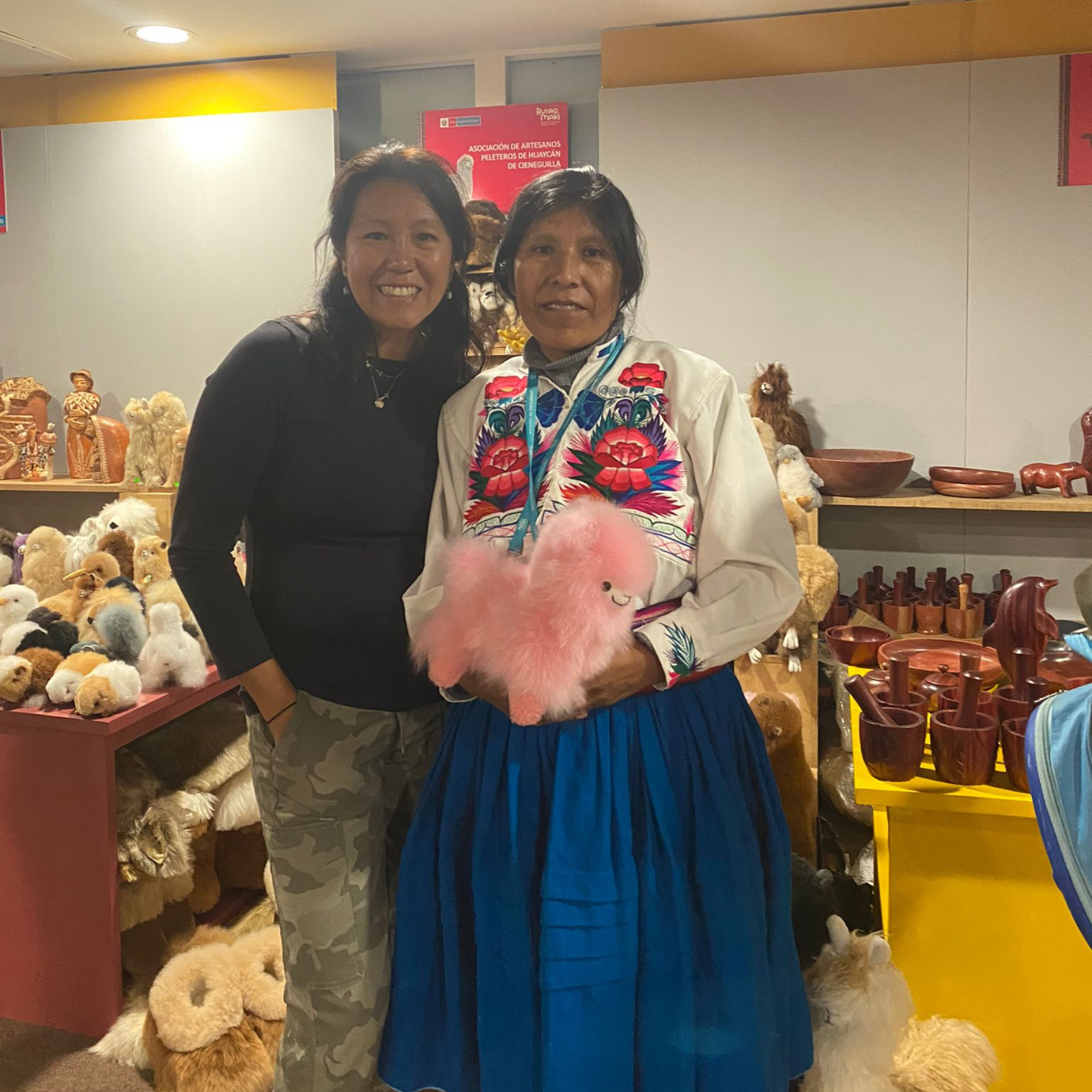 Blossom Inspirations - Wholesale Stuffed/Plush Toy - Kids & Baby - Wawa Kawaii Alpaca Fur Toy8