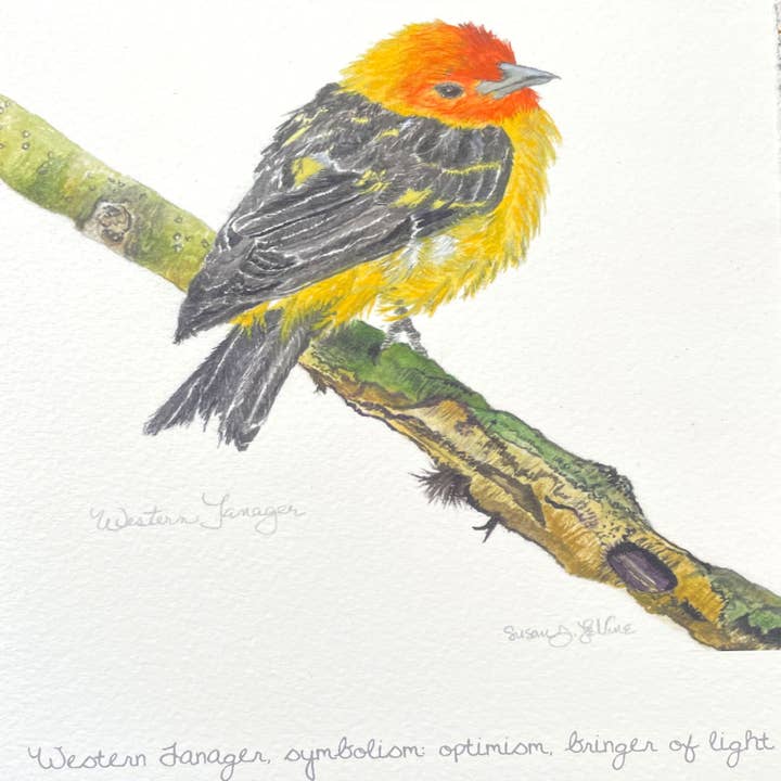 Tarjetas_Hechas_a_Mano_Simbolismo_de_Aves_Tangara_Occidental_ #318 para venta al por mayor de Susan LeVine