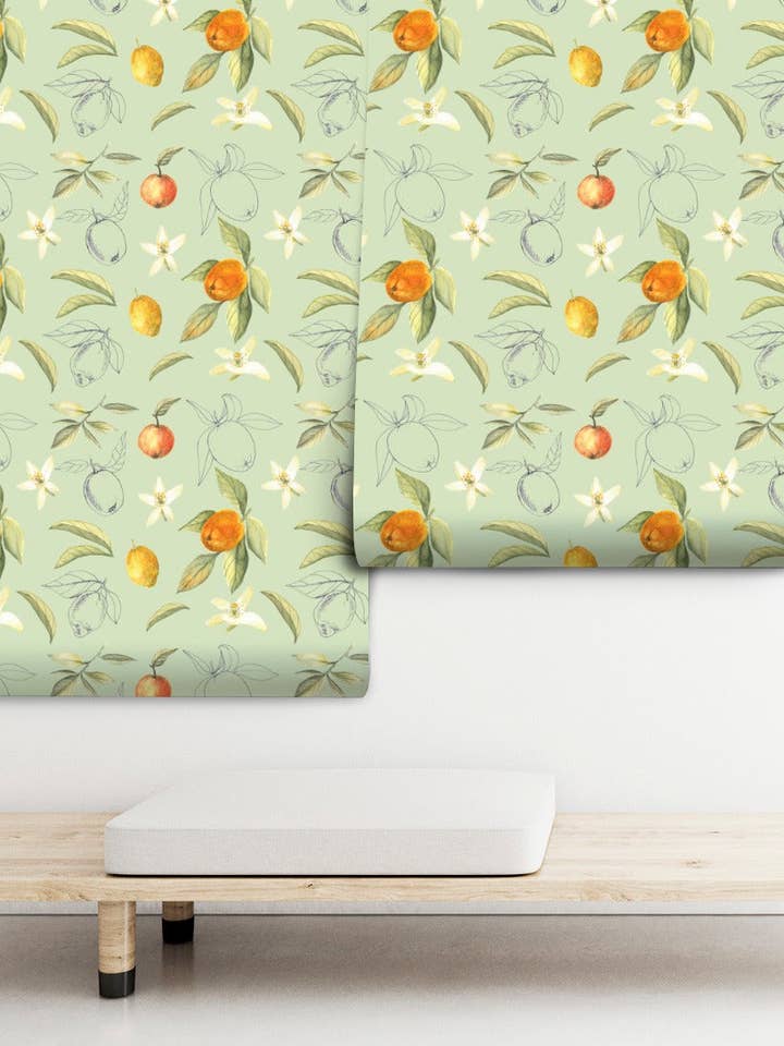 Seville orange trees for wholesale by PIPAPEL