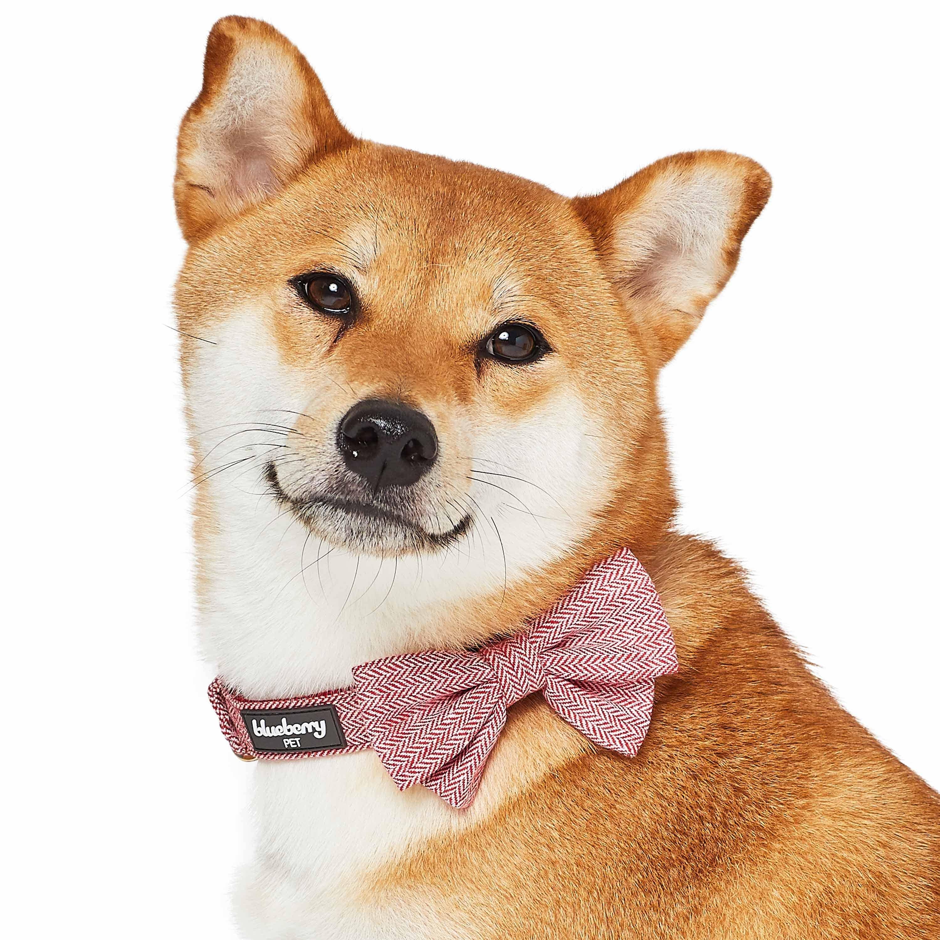 Blueberry Pet - Vendita all'ingrosso Collare - Cani - Collare per cane in tweed testurizzato con papillon staccabile8